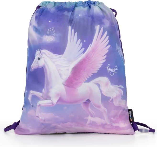 Worek na obuwie OXYBAG Pegas 30 × 37 cm