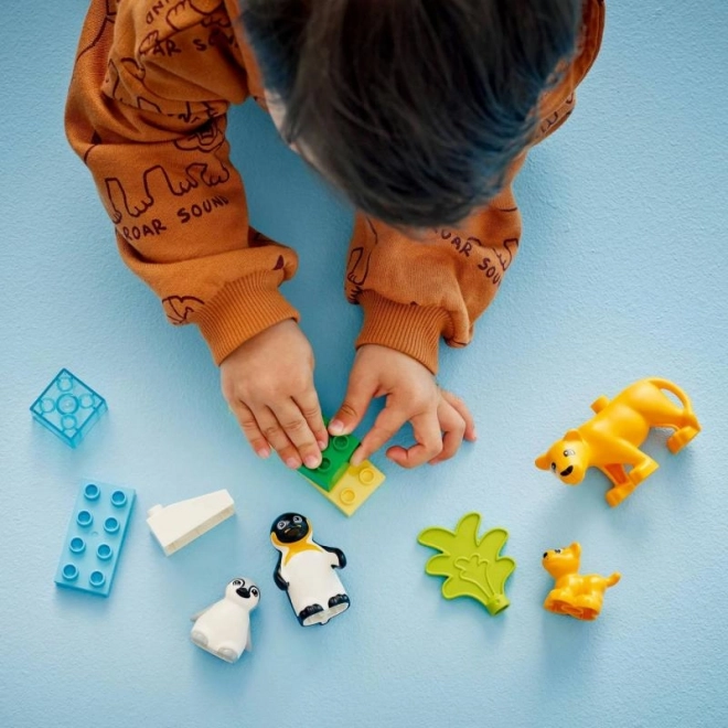 Lego Duplo Rodziny dzikich zwierząt: Pingwiny i lwy