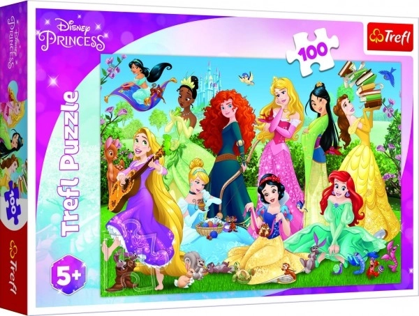 Puzzle Czarujące księżniczki/Disney 100 elementów 41x27,5cm w pudełku 29x19x4cm