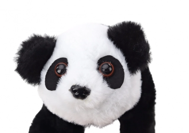Pluszowa interaktywna panda w kolorze Transporter Pink Blue