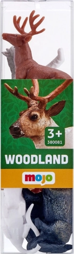 Dwa tematyczne zestawy: wilk lub niedźwiedź