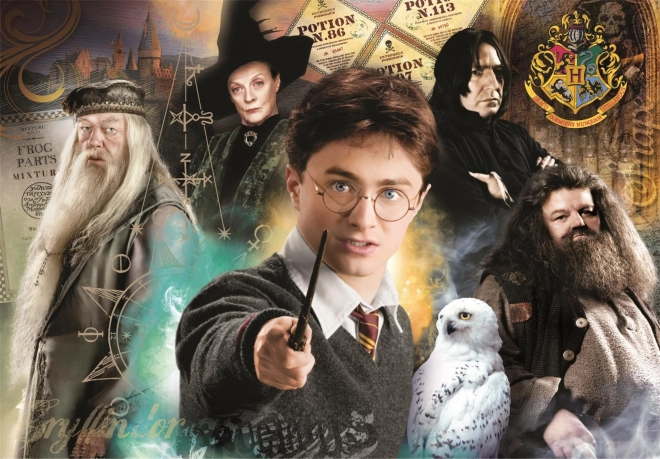 Puzzle 1000 elementów Compact Harry Potter
