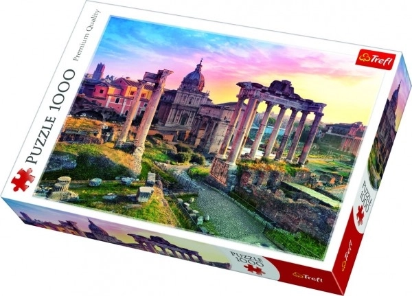 Puzzle Rzym 1000 elementów w pudełku 40x27x6cm