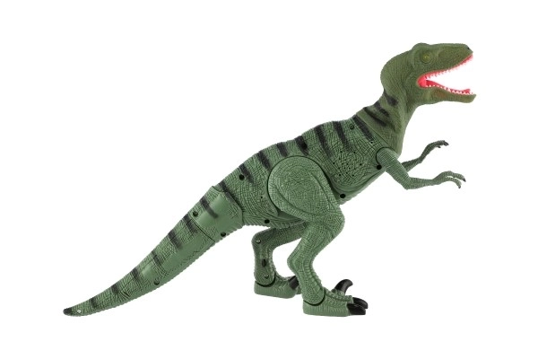 Dinozaur chodzący IC velociraptor plastik 50cm na baterie z dźwiękiem i światłem w pudełku 53x32,5x12cm