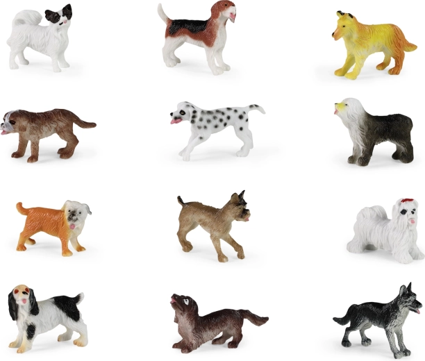 12 różnych ras w jednym zestawie