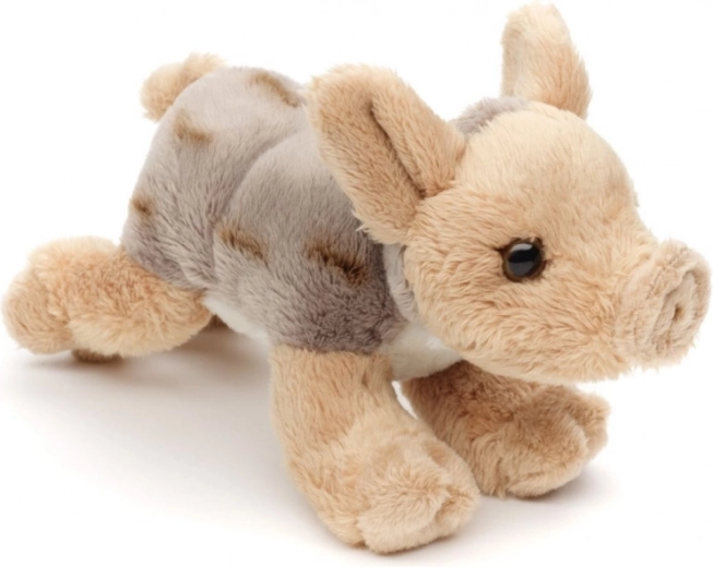 Lekkie i idealne w podróż