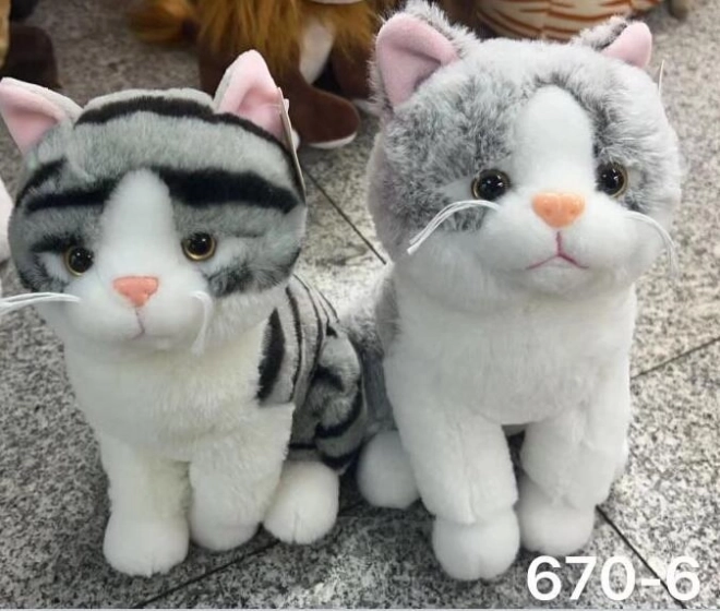 Kot 25 cm