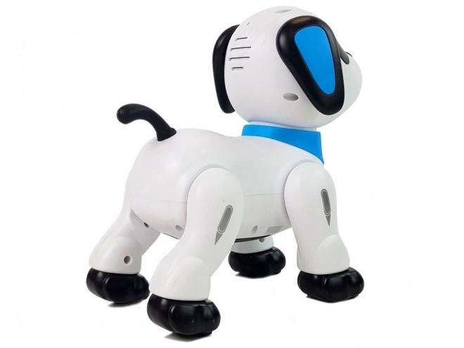 Interaktywny pies robot zdalnie sterowany