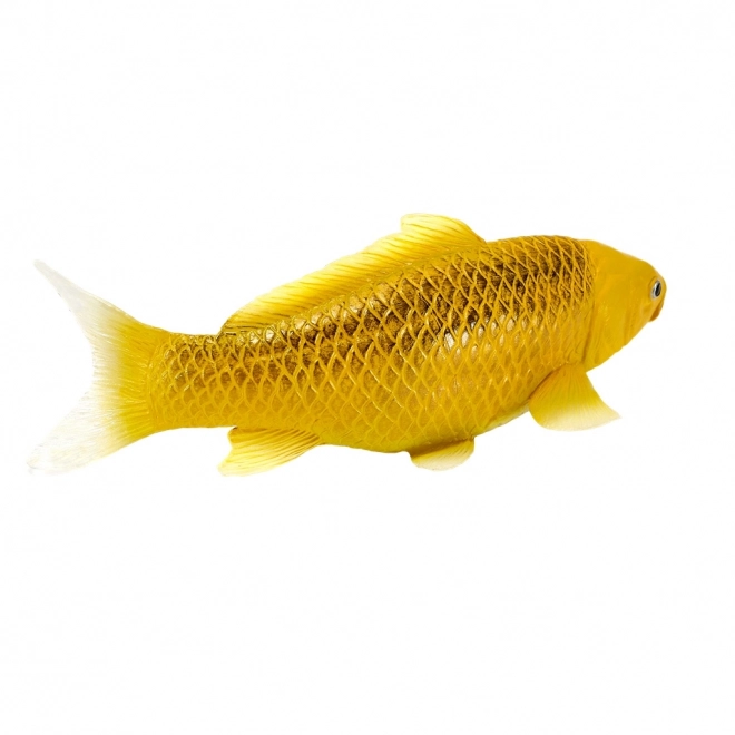 Mojo karp koi Matsuba