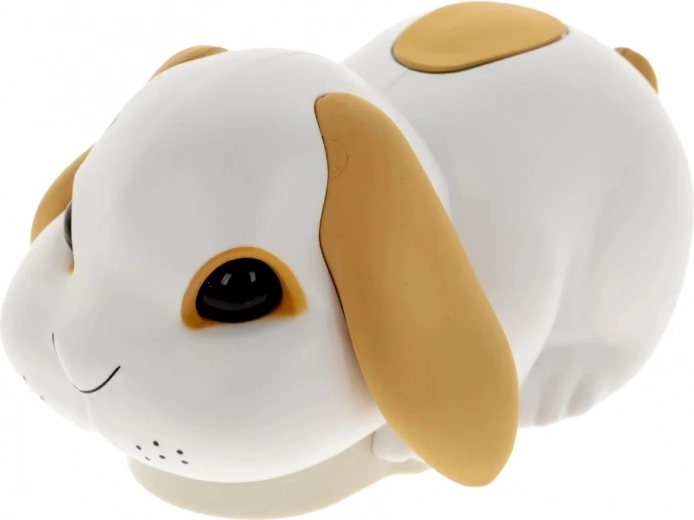 Niesforny króliczek, który rozkręca zabawę