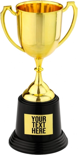 Puchar trofeum 22 cm