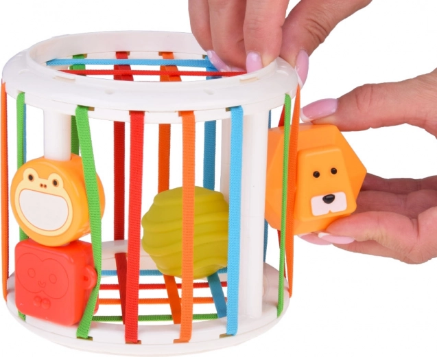 Sprytny sorter z elastycznymi paskami