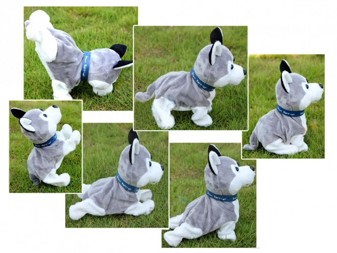 Interaktywny pluszowy pies Husky