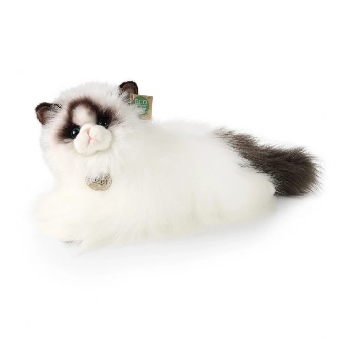 Pluszowy kot Ragdoll 35 cm ekologiczny