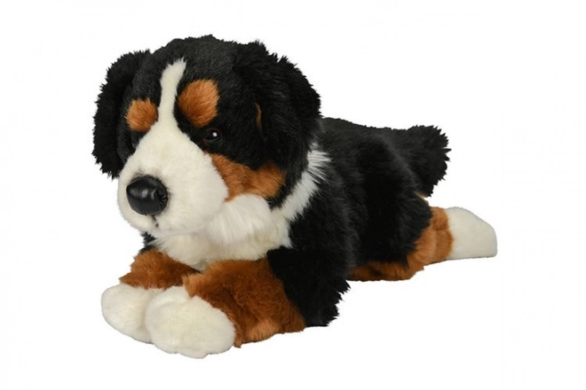 Plusz Berneński pies pasterski 40 cm