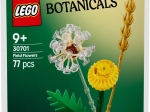 Lego Botanicals – łąkowe kwiaty