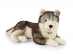 Pluszowy pies husky leżący 60 cm ECO‑FRIENDLY od RAPPA