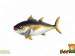 Plastikowy model tuńczyka pospolitego 12 cm