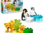 LEGO DUPLO rodziny dzikich zwierząt: pingwiny i lwy