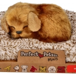 Mały piesek Perfect Petzzz