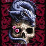 TREFL premium plus puzzle – orientalny smok (1000 elementów)