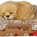 Szczekający golden retriever na legowisku