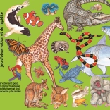 Gra karciana Zanimatch