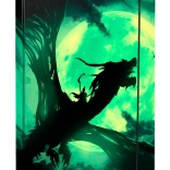 Teczki na zeszyty A4 z motywem smoka BAAGL