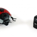 Magana biedronka na zdalne sterowanie