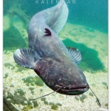 Kalendarz ścienny Wędkarski 2026