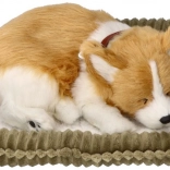 Oddychające szczenię CORGI – realistyczna pluszowa zabawka