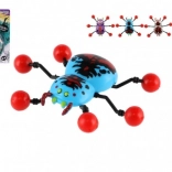 Pająk pełzający po szkle