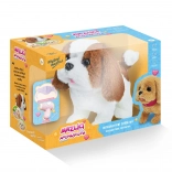 Interaktywny pluszowy piesek Łapka – brązowo-biały zestaw Pupilki