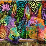 Puzzle 1000 elementów – zakochane osiołki (Jelly Pets) – Heye