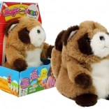 Interaktywny mówiący pluszowy szop, powtarzający słowa