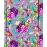 Teczki na zeszyty A4 Koliberek BAAGL