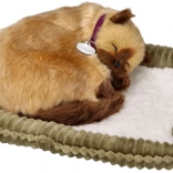 Oddychające kocię syjamskie – realistyczny pluszowy kot na legowisku