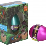 Rosnące jajko Koala 6,5 cm