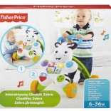 Chodzik zebra z dźwiękami