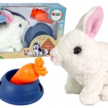 Interaktywny pluszowy króliczek z miseczką i marchewką