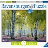 Puzzle Brzozowy Las 1000 szt. Ravensburger