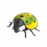 Elektroniczna pełzająca biedronka z czujnikiem ruchu