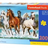Puzzle 200 elementów Call of Nature