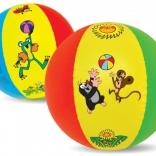 Nadmuchiwany plażowy piłka KRTEČEK 51 cm