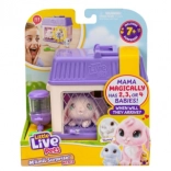 Little Live Pets interaktywne króliczki Mama Surprise z niespodzianką