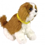 Interaktywny pluszowy piesek Cavalier