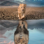 Puzzle 300 elementów – Autorefleksja