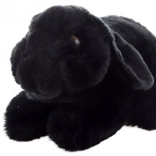 Pluszowy królik czarny ECO-FRIENDLY