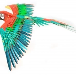 metal earth 3D puzzle papuga ICONX – metalowy model do złożenia