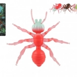 Antystresowa Mrówka